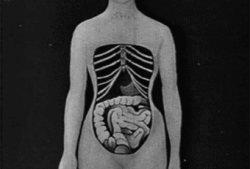 束腰视频,塑形美体新潮流