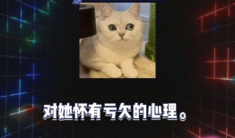 娱乐圈八卦吃瓜小说,揭秘明星背后的秘密与爱恨情仇