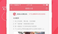 最快开奖香港直播91期,精彩瞬间回顾与数据解析”