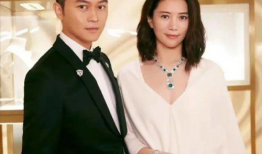吃瓜娱乐圈李斯丹妮是谁,娱乐圈的瓜中明星