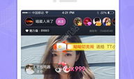 看武打片直播的app,揭秘热门看武打片直播APP的魅力