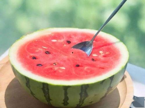 吃瓜官网免费观看